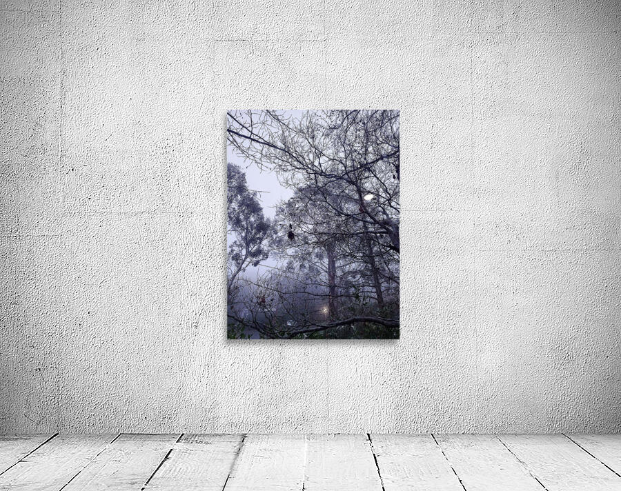 Foggy Wall Preview