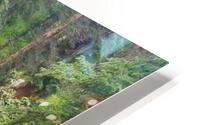 MLFalls0822tp HD Metal print