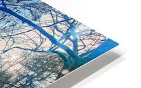 BeeCreek0223ss HD Metal print