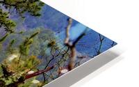 treeview HD Metal print