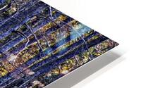 cypressfishermantp HD Metal print