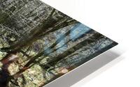 lilbeecreek0222. HD Metal print
