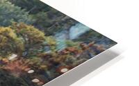WaspRockReflections1022tp HD Metal print