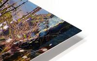 TBFalls0223 HD Metal print