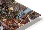 SilveyFalls0223st HD Metal print