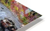 BRFallSingle HD Metal print