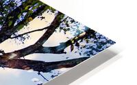 stormyBarn HD Metal print