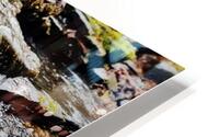 FallsNFoam0223 HD Metal print