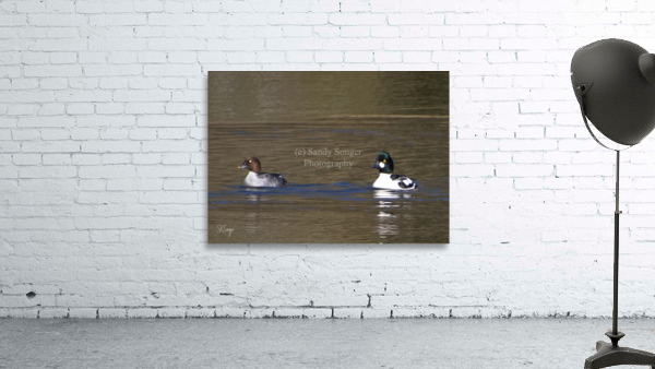 DuckPair1122 Wall Preview