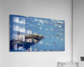 Great Acrylic Print