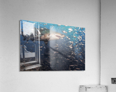 Sand Tiger Close Acrylic Print