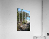 Pathway Acrylic Print