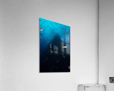 Up Shot Acrylic Print