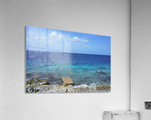 Bali Costal Acrylic Print
