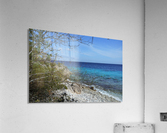 Bonaire Beach Scape Acrylic Print