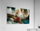 Small Fish Acrylic Print