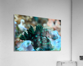 Philipines 64 Acrylic Print