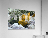 Philipines 24 Acrylic Print