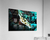 Philipines 53 Acrylic Print