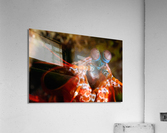 Philipines 39 Acrylic Print