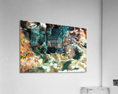 Philipines 50 Acrylic Print