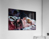 Philipines 43 Acrylic Print
