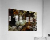 Philipines 93 Acrylic Print