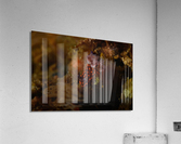Philipines 114 Acrylic Print