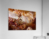 Philipines 117 Acrylic Print
