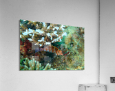 Philipines 143 Acrylic Print