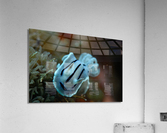 Philipines 75 Acrylic Print