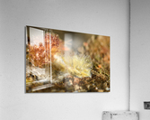 Philipines 174 Acrylic Print