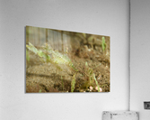 Philipines 170 Acrylic Print