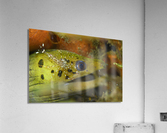 Philipines 154 Acrylic Print