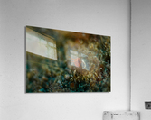 Philipines 237 Acrylic Print