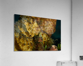 Philipines 282 Acrylic Print
