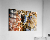 Philipines 226 Acrylic Print