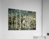 Philipines 287 Acrylic Print