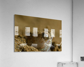 Philipines 331 Acrylic Print
