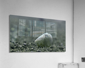 Philipines 347 Acrylic Print