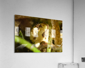 Philipines 333 Acrylic Print