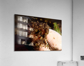Philipines 299 Acrylic Print