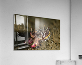Philipines 308 Acrylic Print
