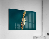 Philipines 337 Acrylic Print