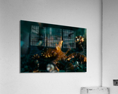Philipines 355 Acrylic Print