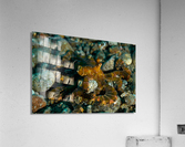 Philipines 353 Acrylic Print