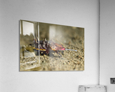 Philipines 303 Acrylic Print