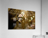 Philipines 388 Acrylic Print