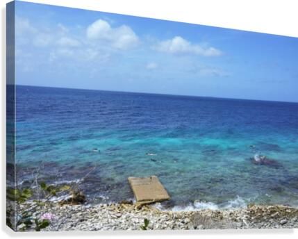 Bali Costal Canvas Print