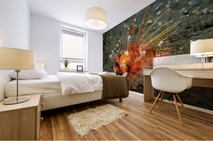 Lion Fish Mural print